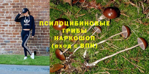 mix Армянск
