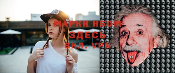 амф Аркадак