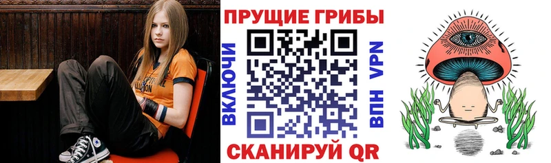 Галлюциногенные грибы MAGIC MUSHROOMS  МЕГА   Белорецк  купить  