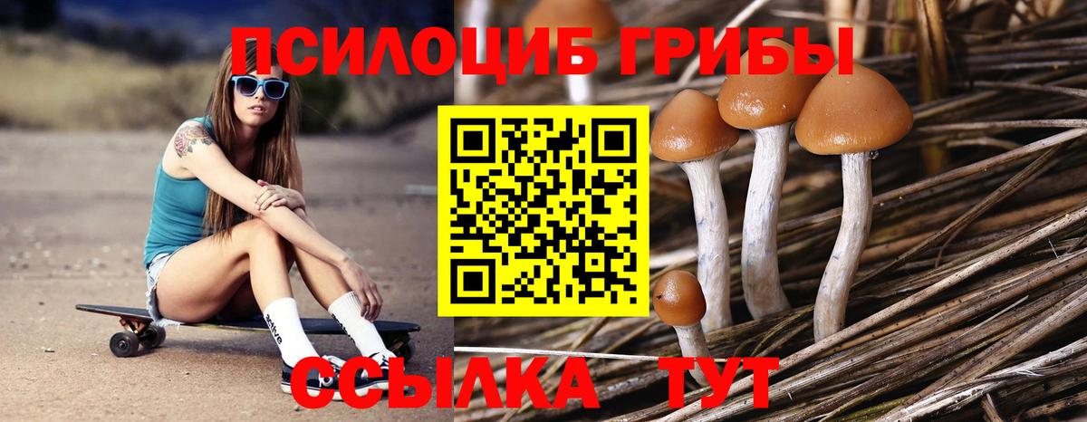 Галлюциногенные грибы Cubensis  Вход с VPN  как найти наркотики  Белорецк  Галлюциногенные грибы Psilocybe 